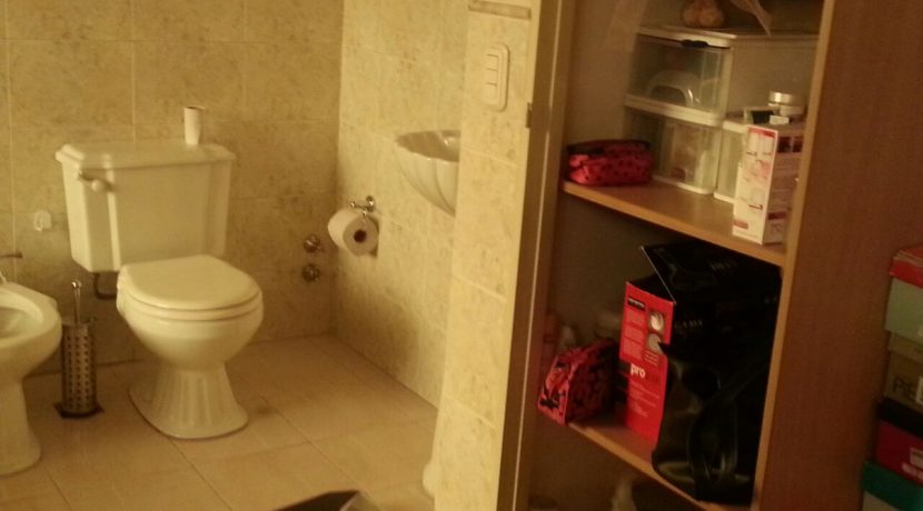 22017011-d3ef-4b0e-838e-4c65c1ed3235