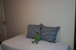 5ce8627a-340e-40b4-930a-be1ce86a40a8