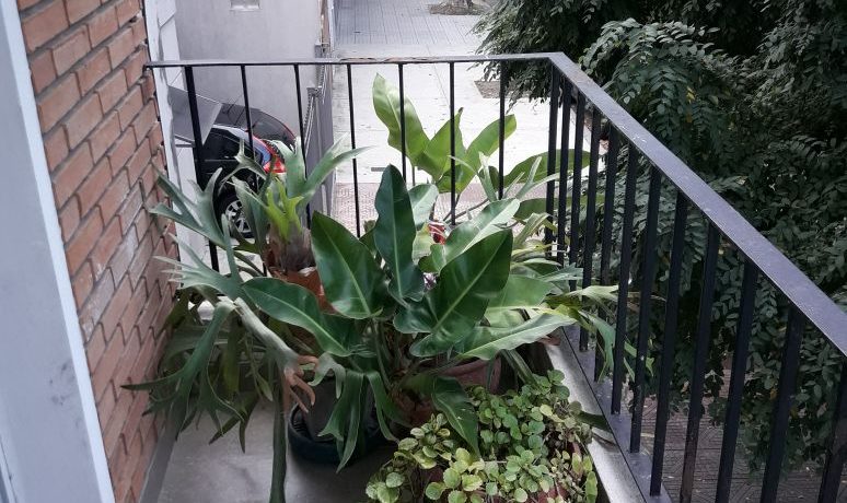 7b819576-0f3e-4b98-9e77-a7a90efd0188